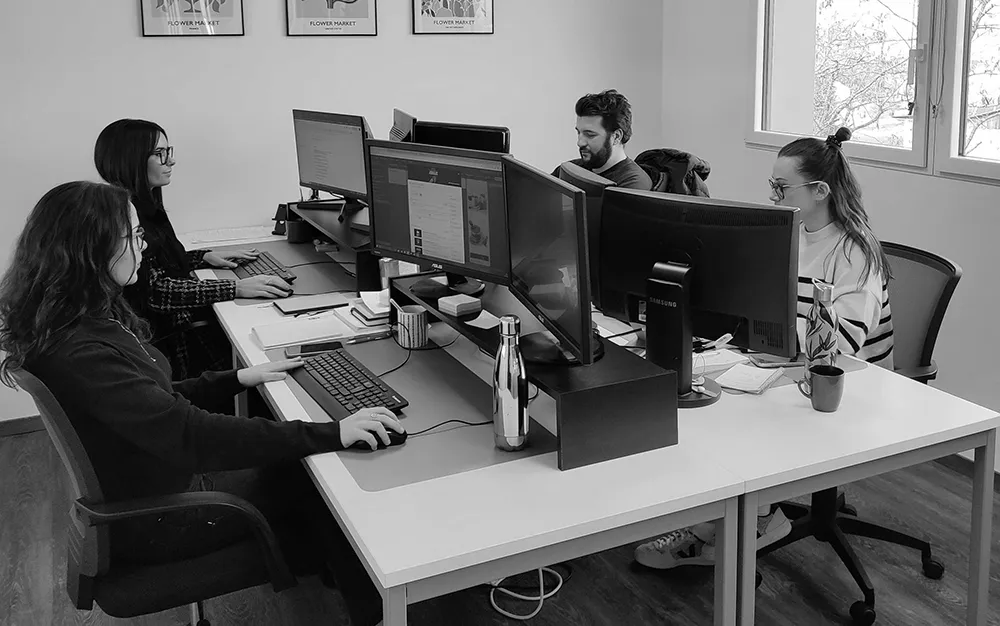 Agence webmarketing Linov, Pôle Webmarketing, à Rodez, en Aveyron