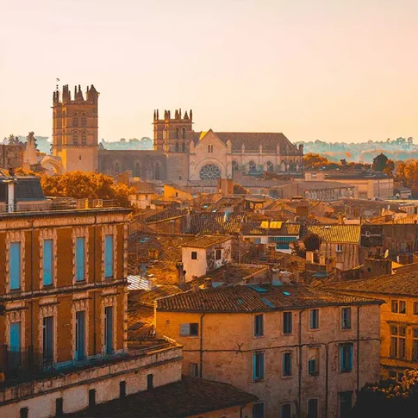 Agence digitale à Montpellier